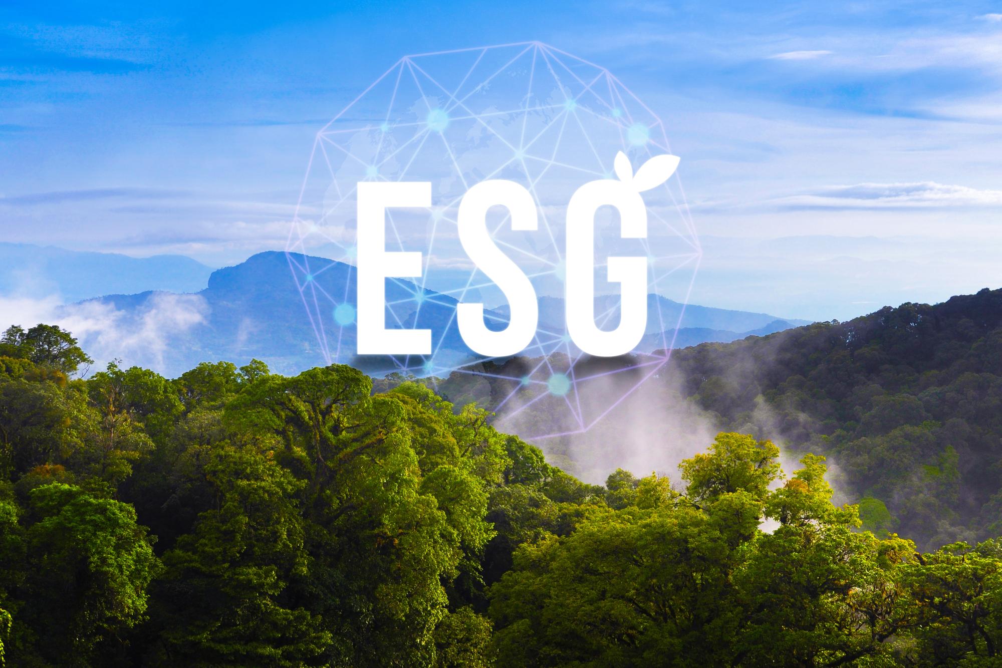 ESG Sobald die Gesetzeslage geklärt ist