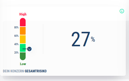 Gesamtrisiko - Dein Konzern auf einen Blick